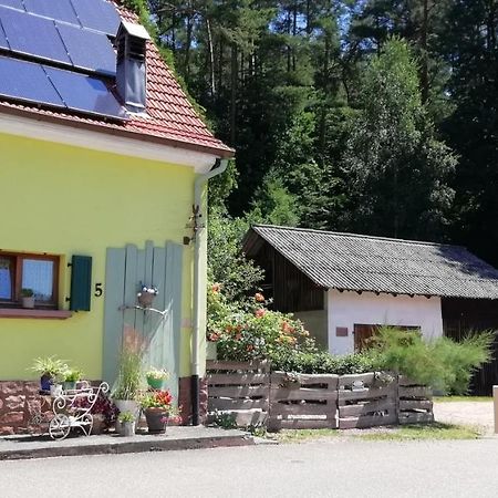 Violeta Villa Dambach Exterior photo