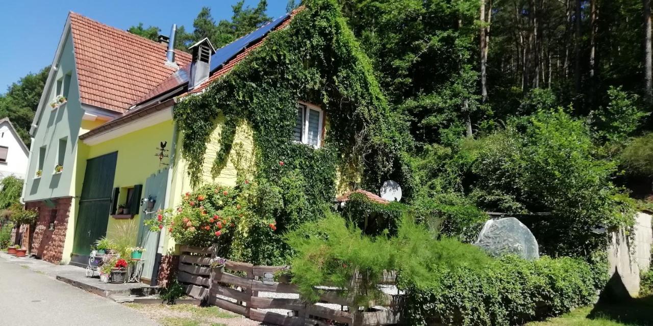 Violeta Villa Dambach Exterior photo